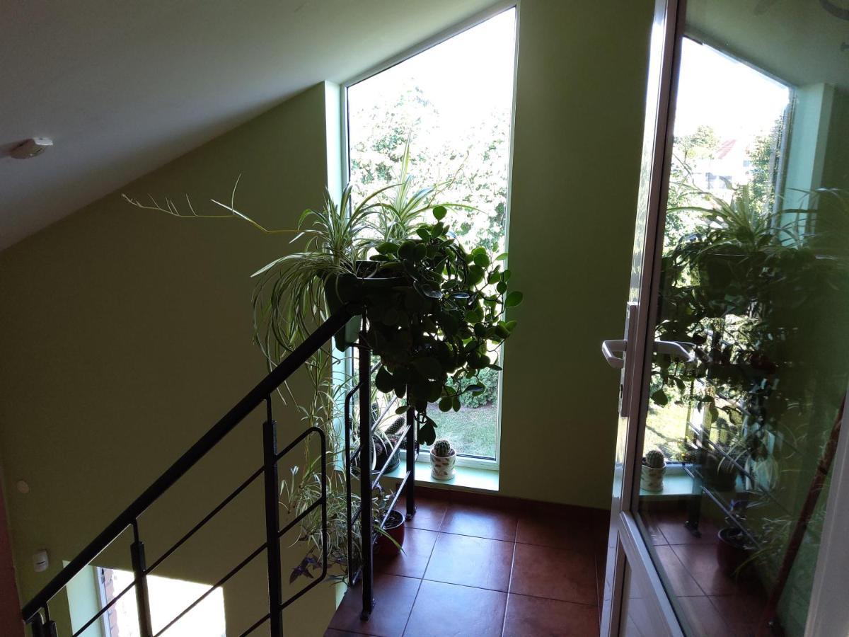 Apartamentai Geguciu Gatveje Klaipėda Exterior foto